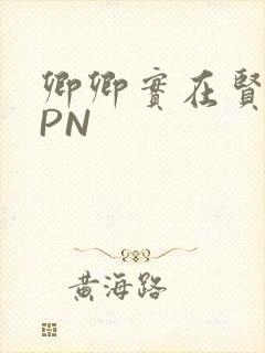 卿卿实在贤良NPN