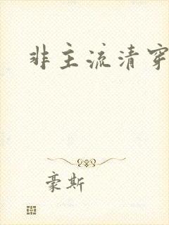 非主流清穿