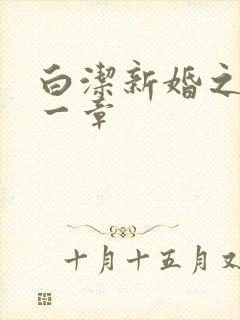 白洁新婚之夜第一章