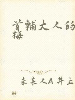 首辅大人的小青梅