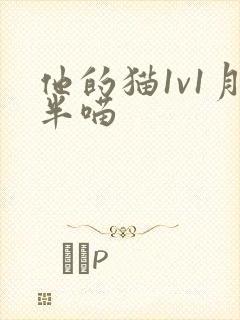 他的猫1v1月半喵