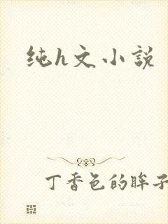 纯h文小说