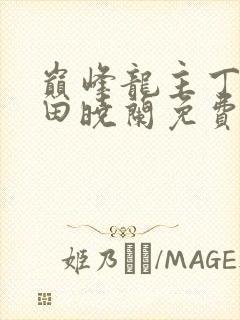 巅峰龙主丁长顺田晓兰免费阅读