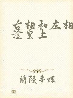 右相和左相一起淦皇上