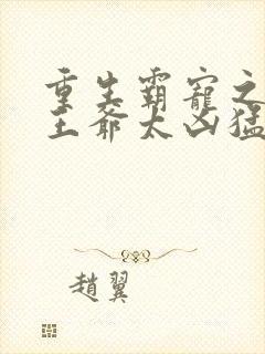 重生霸宠之摄政王爷太凶猛