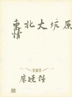 东北大坑原始激情