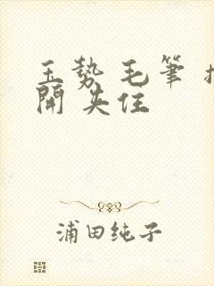 玉势 毛笔 撑开 夹住