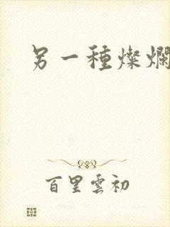 另一种灿烂生活