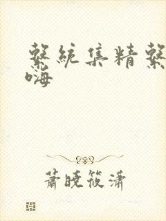 系统集精系统高嗨