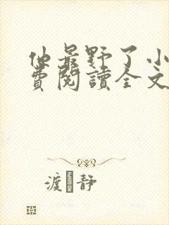 他最野了小说免费阅读全文