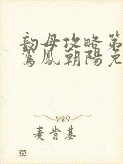 韵母攻略第二部鸾凤朝阳免费阅读