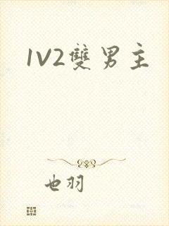 1V2双男主