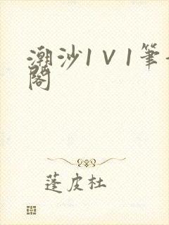 潮沙1∨1笔趣阁