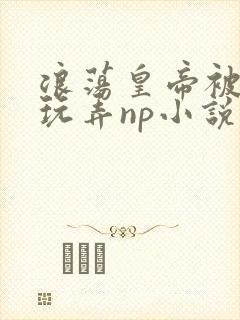 浪荡皇帝被多人玩弄np小说