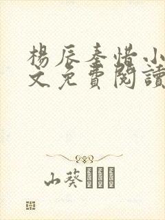 杨辰秦惜小说全文免费阅读最新