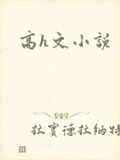高h文小说
