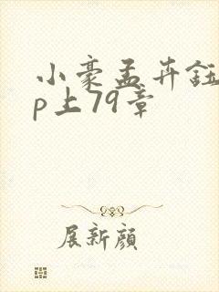 小豪孟卉钰慧三p上79章