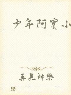 少年阿宾小说