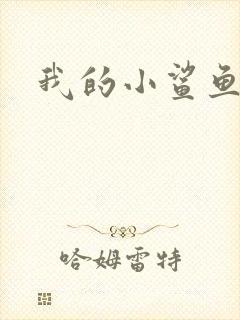 我的小鲨鱼
