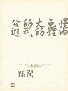 公的大龟慢慢挺进我的体内