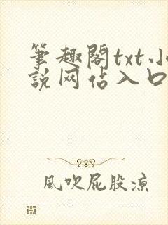 笔趣阁txt小说网站入口