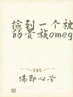 捡到一个被抹布的贵族omega