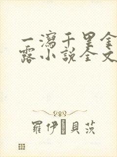 一泻千里金银花露小说全文免费阅读