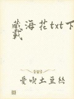藏海花txt下载