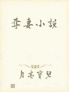 夺妻小说