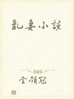 乱妻小说