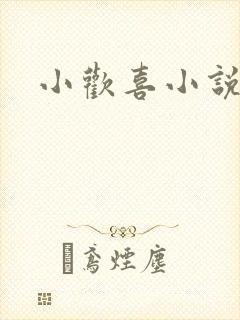 小欢喜小说