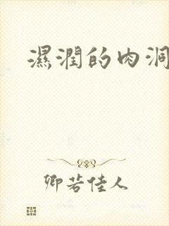 湿润的肉洞