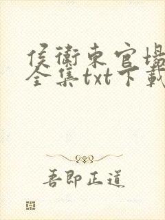 侯卫东官场笔记全集txt下载