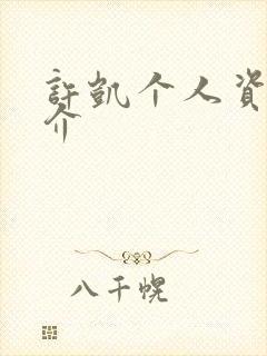 许凯个人资料简介