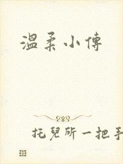温柔小传