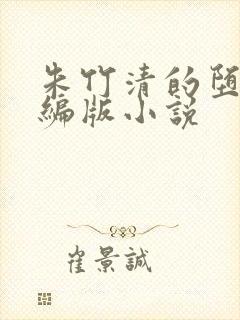 朱竹清的堕落改编版小说