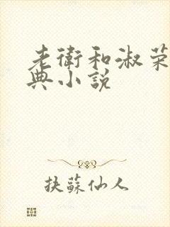 老卫和淑荣的经典小说