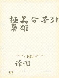 极品公子3续世枭雄