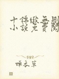 十锦缎无删原著小说免费阅读