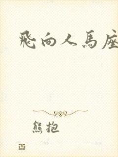 飞向人马座