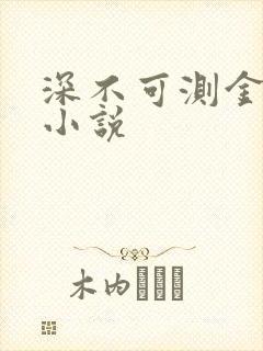 深不可测金银花小说