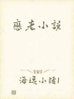 恋老小说