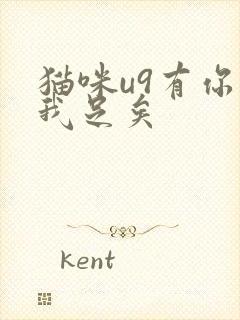 猫咪u9有你有我足矣