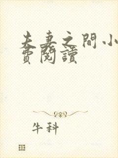 夫妻之间小说免费阅读