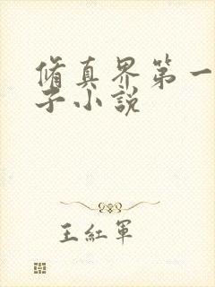 修真界第一病秧子小说