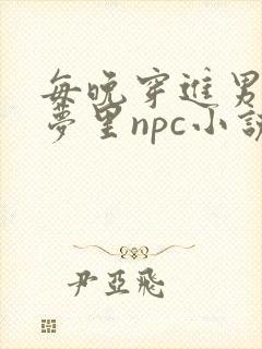 每晚穿进男神的梦里npc小说