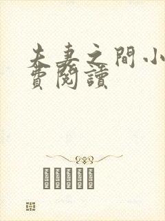 夫妻之间小说免费阅读