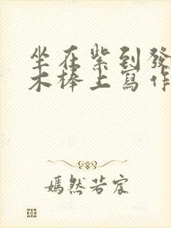 坐在紫到发黑的木棒上写作业