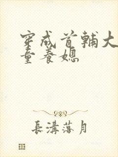 穿成首辅大人的童养媳