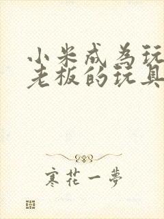 小米成为玩具店老板的玩具